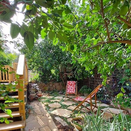 Maple'S Place - אירוח מייפל Rosch Pina Exterior foto