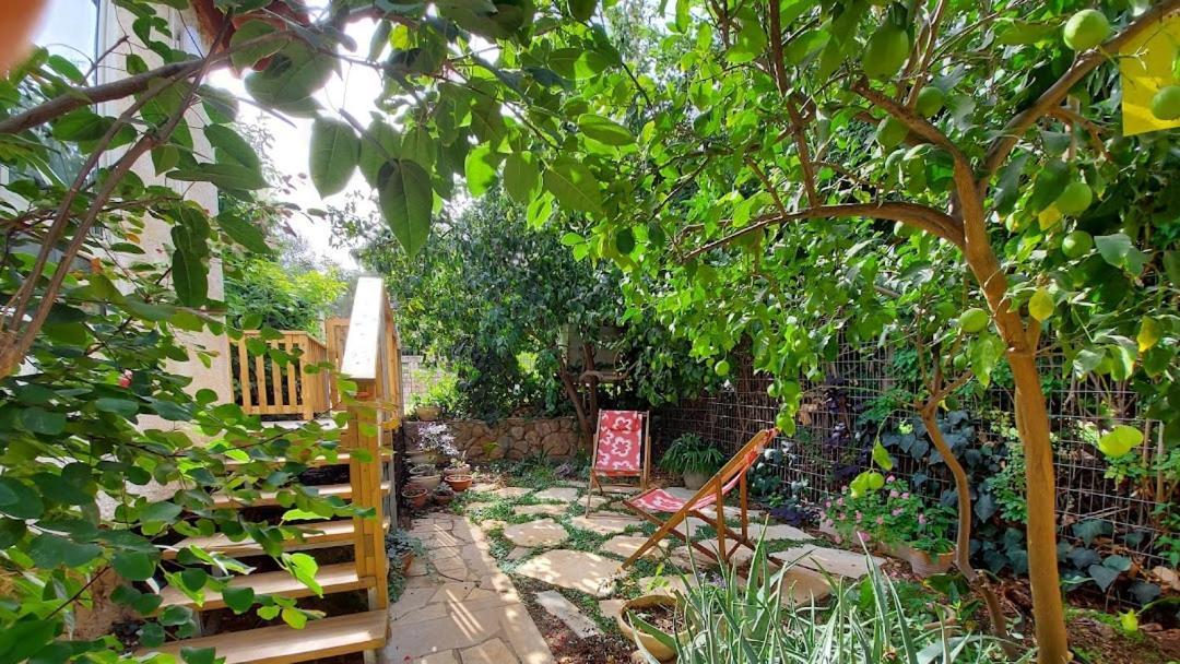 Maple'S Place - אירוח מייפל Rosch Pina Exterior foto